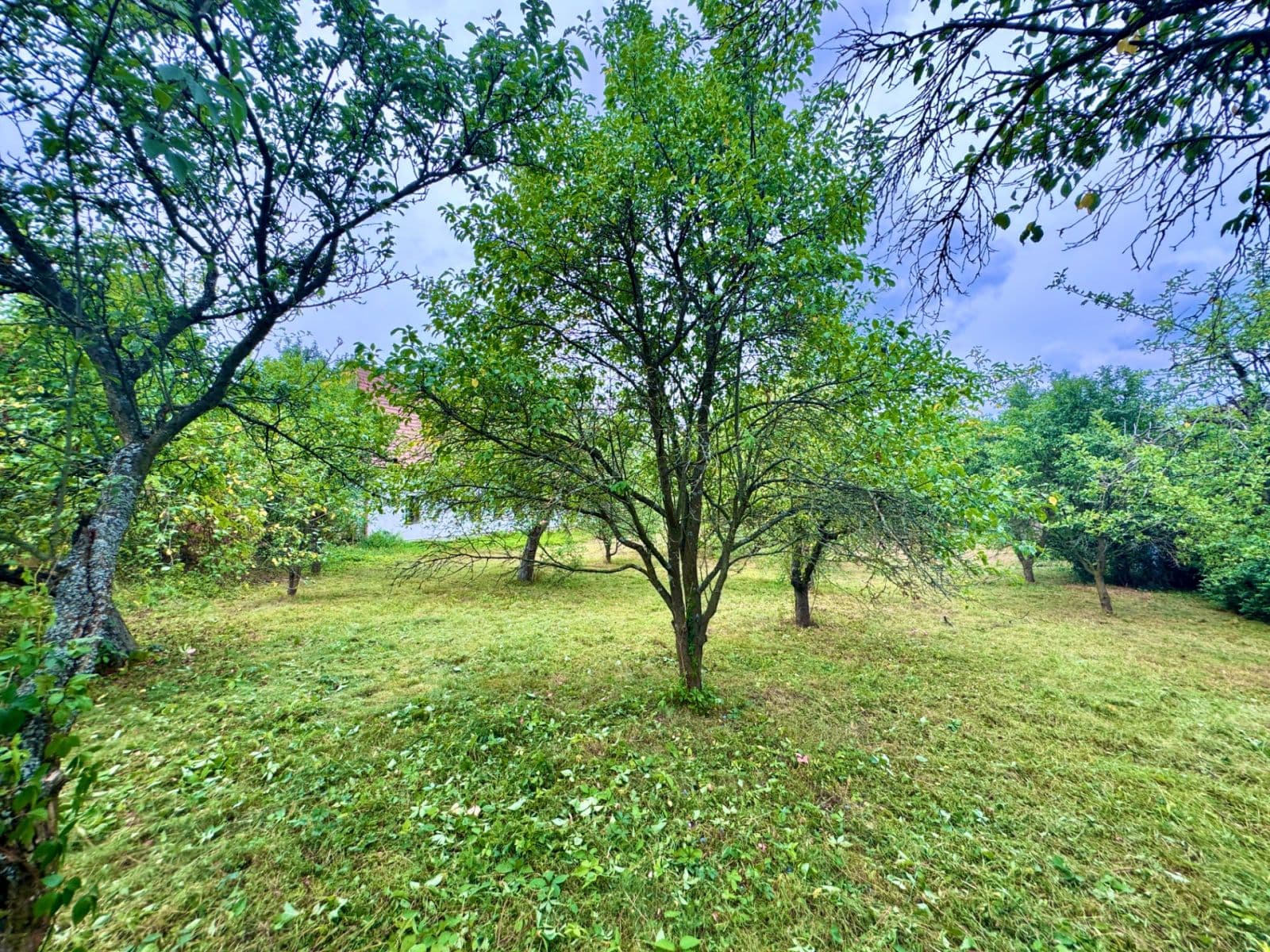Prodej pozemku 853 m², Za Krétou, Tišnov, Jihomoravský kraj Prodej pozemku 853 m², Za Krétou, Tišnov, Jihomoravský kraj