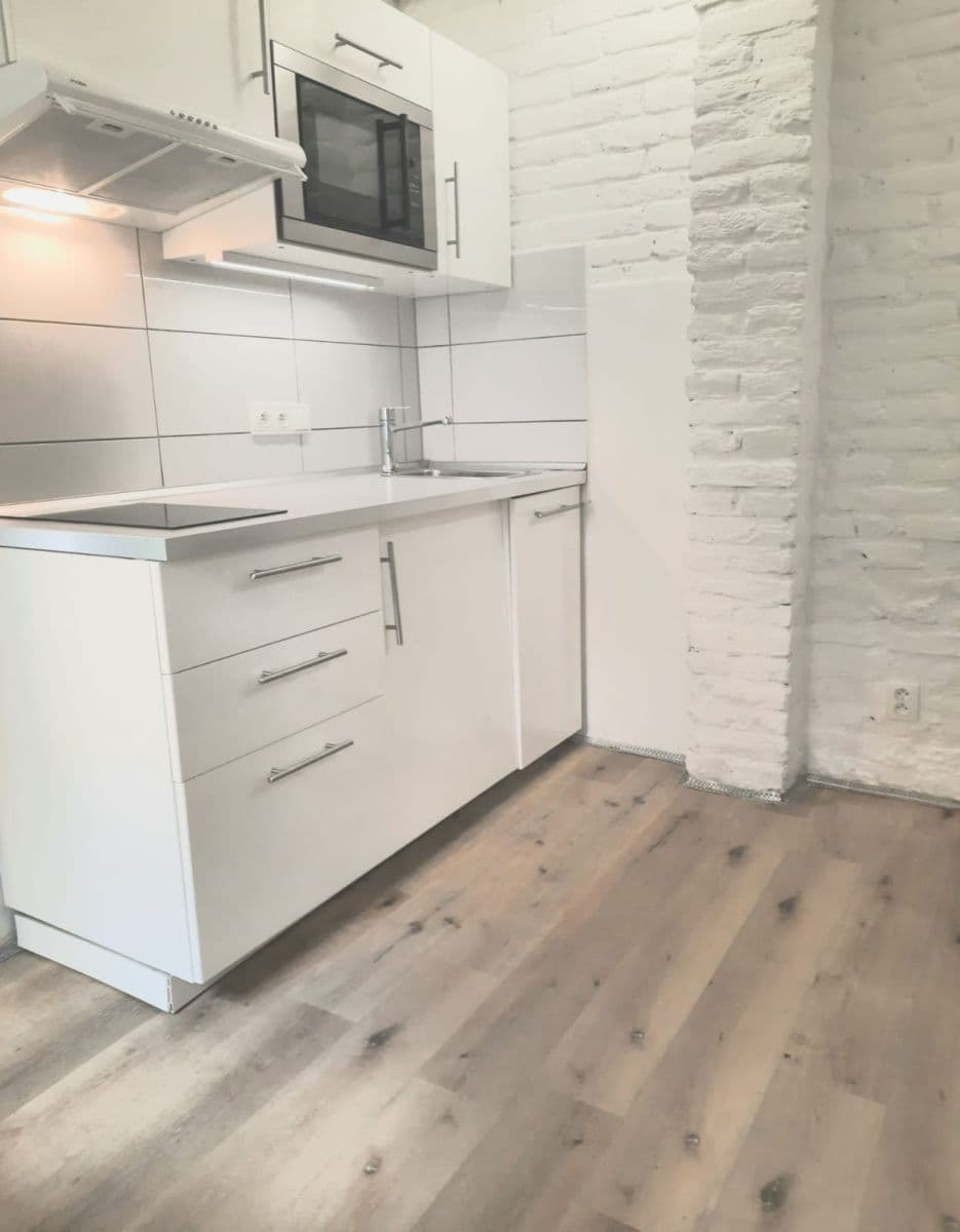 Pronájem bytu 1+kk 16 m², Vlkova, Praha, Praha Pronájem bytu 1+kk 16 m², Vlkova, Praha, Praha