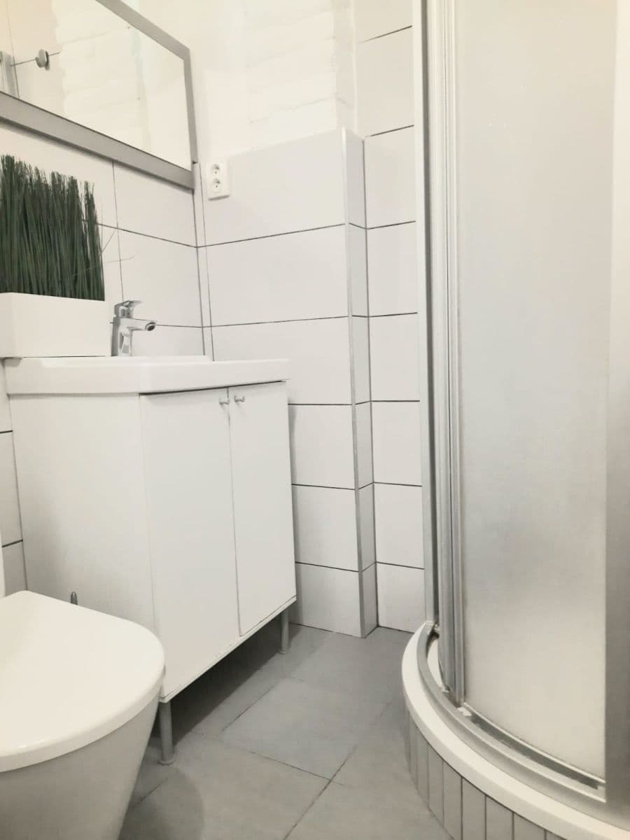Pronájem bytu 1+kk 16 m², Vlkova, Praha, Praha Pronájem bytu 1+kk 16 m², Vlkova, Praha, Praha