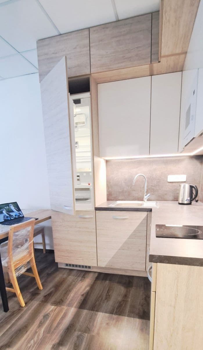 Pronájem bytu 2+kk 46 m², Příkop, Brno, Jihomoravský kraj Pronájem bytu 2+kk 46 m², Příkop, Brno, Jihomoravský kraj