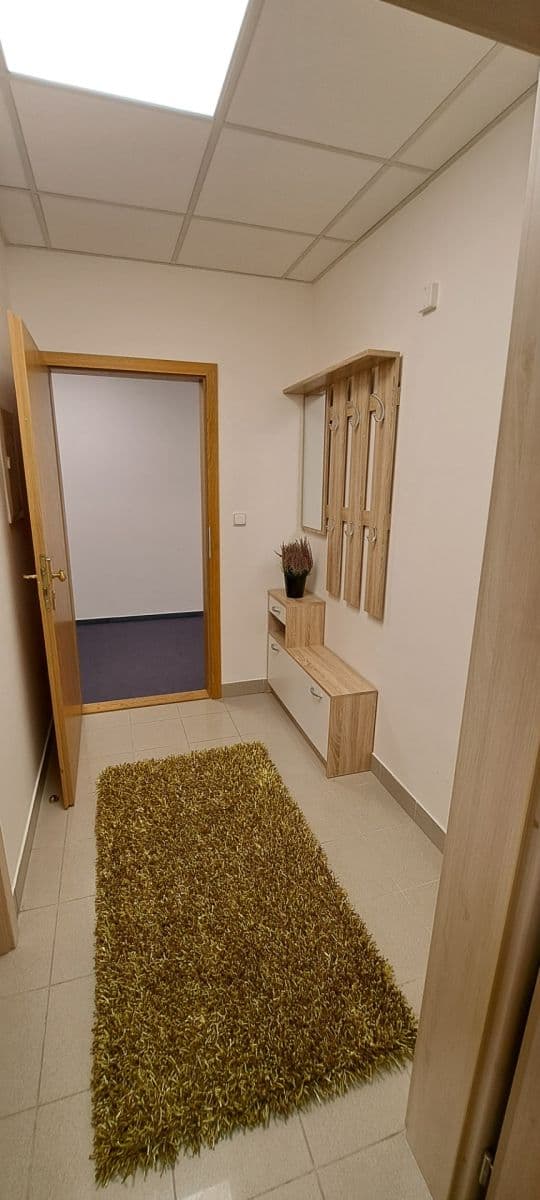 Pronájem bytu 2+kk 46 m², Příkop, Brno, Jihomoravský kraj Pronájem bytu 2+kk 46 m², Příkop, Brno, Jihomoravský kraj