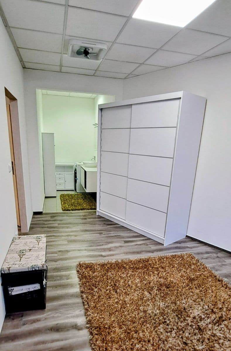 Pronájem bytu 2+kk 46 m², Příkop, Brno, Jihomoravský kraj Pronájem bytu 2+kk 46 m², Příkop, Brno, Jihomoravský kraj