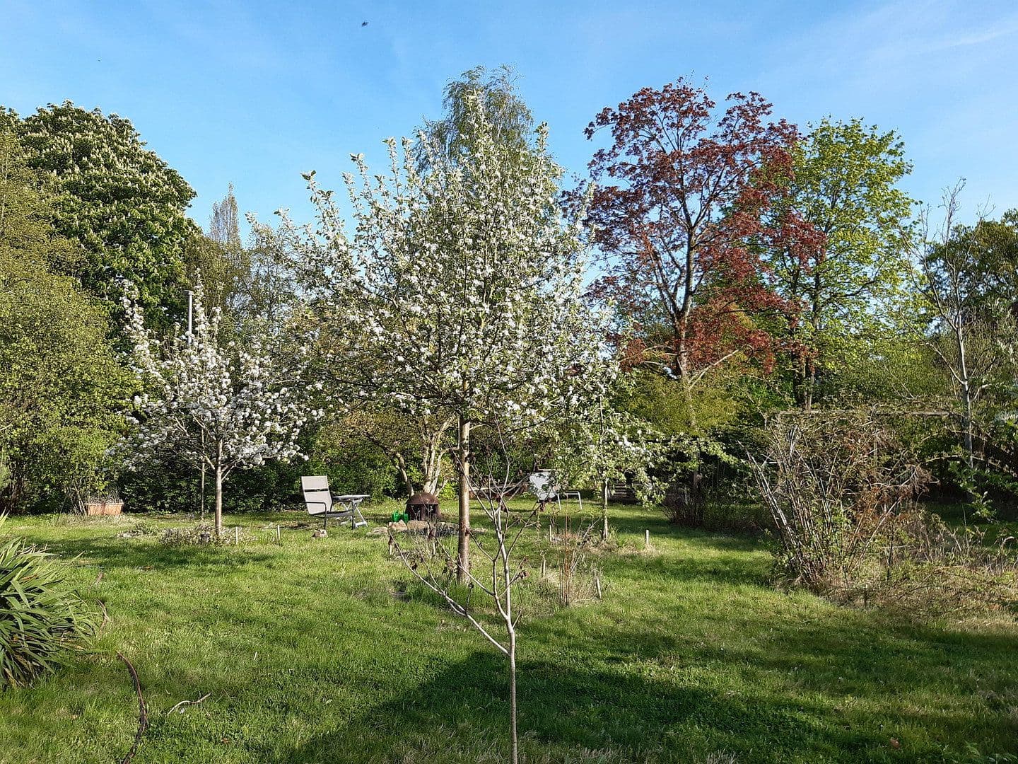 Prodej domu 150 m², pozemek 1.390 m², Burgwedel, Dolní Sasko Prodej domu 150 m², pozemek 1.390 m², Burgwedel, Dolní Sasko