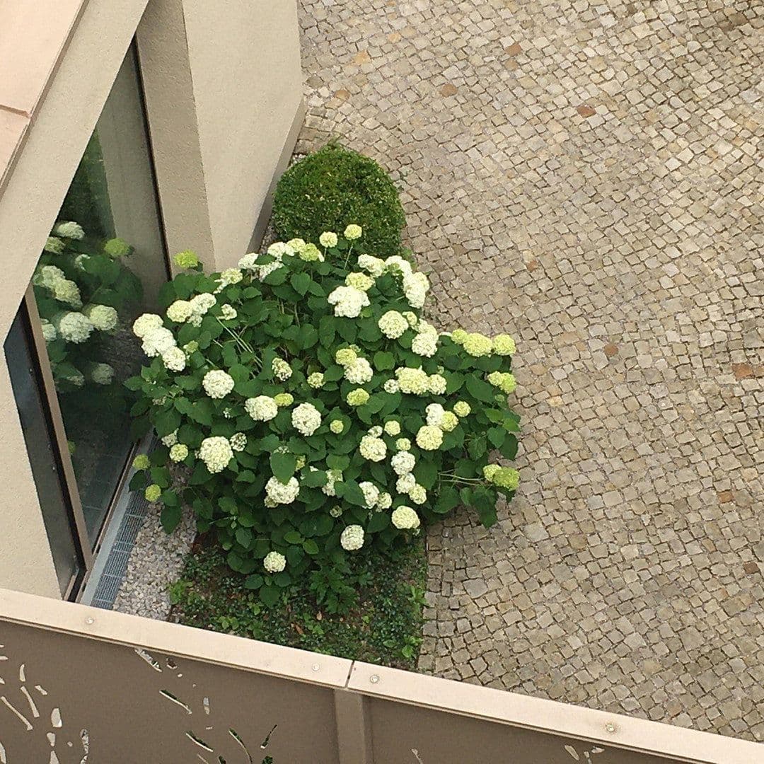 Pronájem bytu 3+1 78 m², München, Bavorsko Pronájem bytu 3+1 78 m², München, Bavorsko