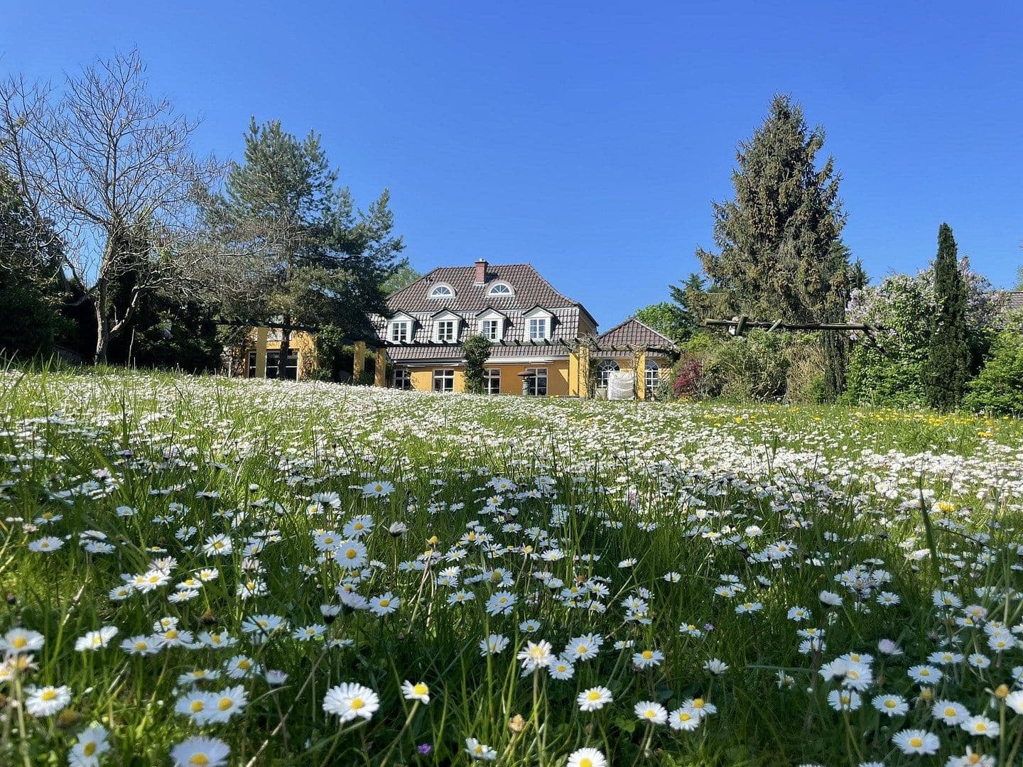 Prodej domu 280 m², pozemek 3.500 m², Kiel, Šlesvicko-Holštýnsko Prodej domu 280 m², pozemek 3.500 m², Kiel, Šlesvicko-Holštýnsko