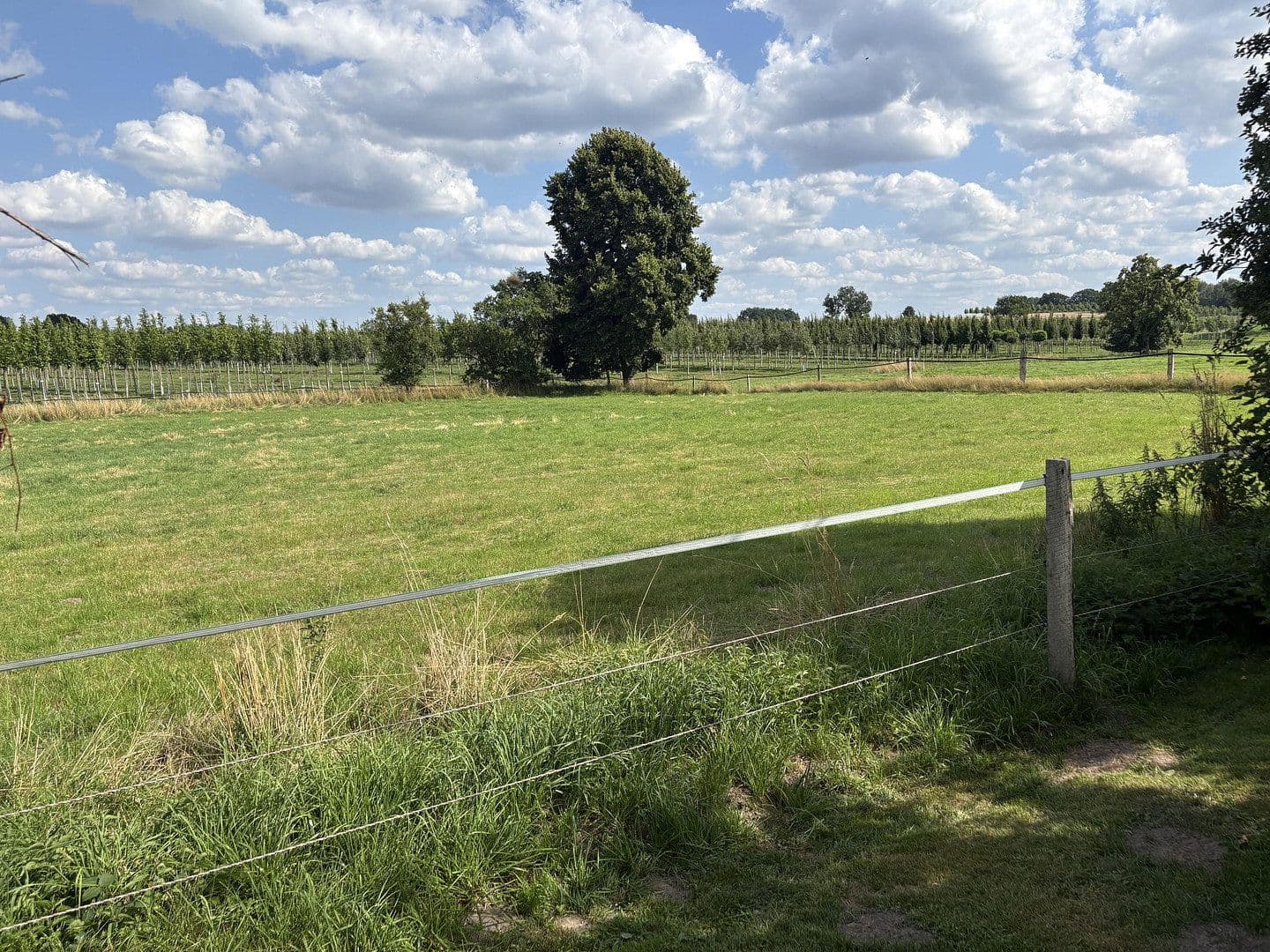 Prodej domu 157 m², pozemek 1.335 m², Mattenstieg 6, Seevetal, Dolní Sasko Prodej domu 157 m², pozemek 1.335 m², Mattenstieg 6, Seevetal, Dolní Sasko