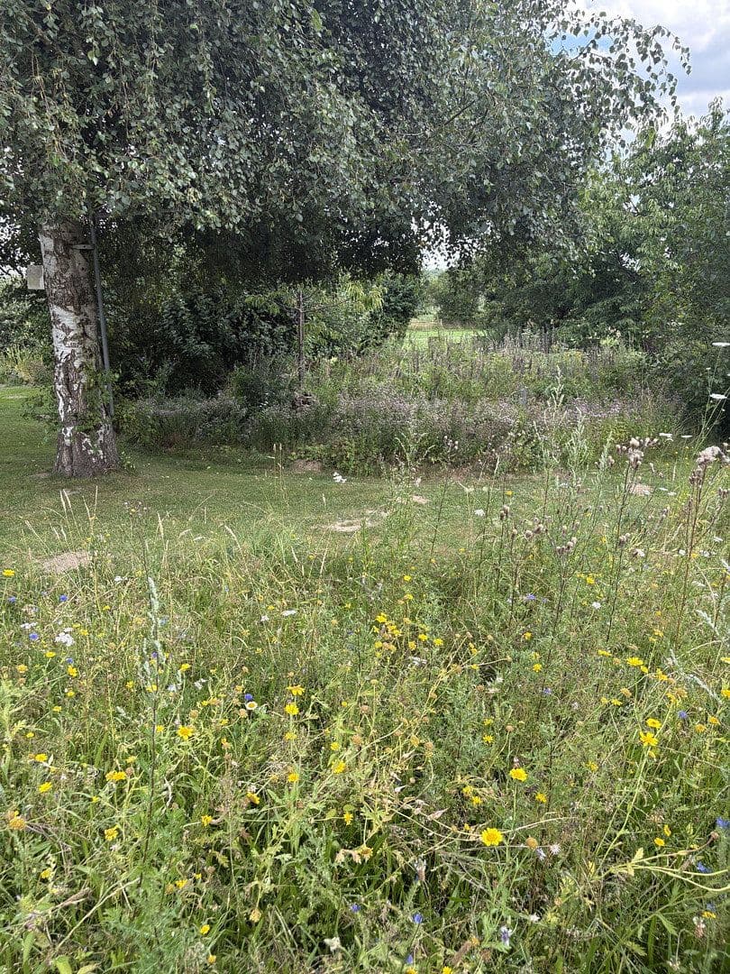 Prodej domu 157 m², pozemek 1.335 m², Mattenstieg 6, Seevetal, Dolní Sasko Prodej domu 157 m², pozemek 1.335 m², Mattenstieg 6, Seevetal, Dolní Sasko
