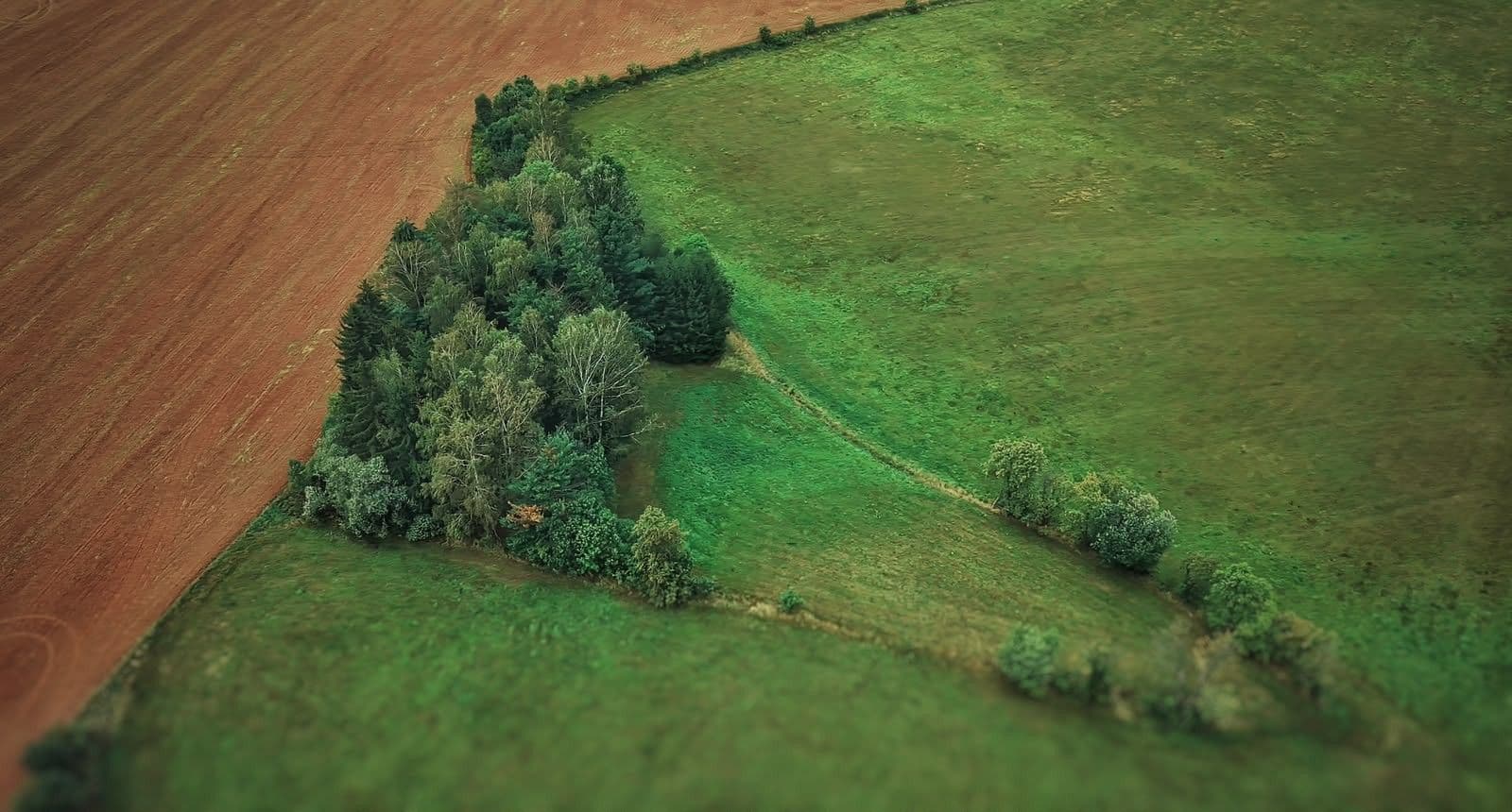Prodej domu 403 m², pozemek 6.500 m², K Břízkám, Trutnov, Královéhradecký kraj Prodej domu 403 m², pozemek 6.500 m², K Břízkám, Trutnov, Královéhradecký kraj