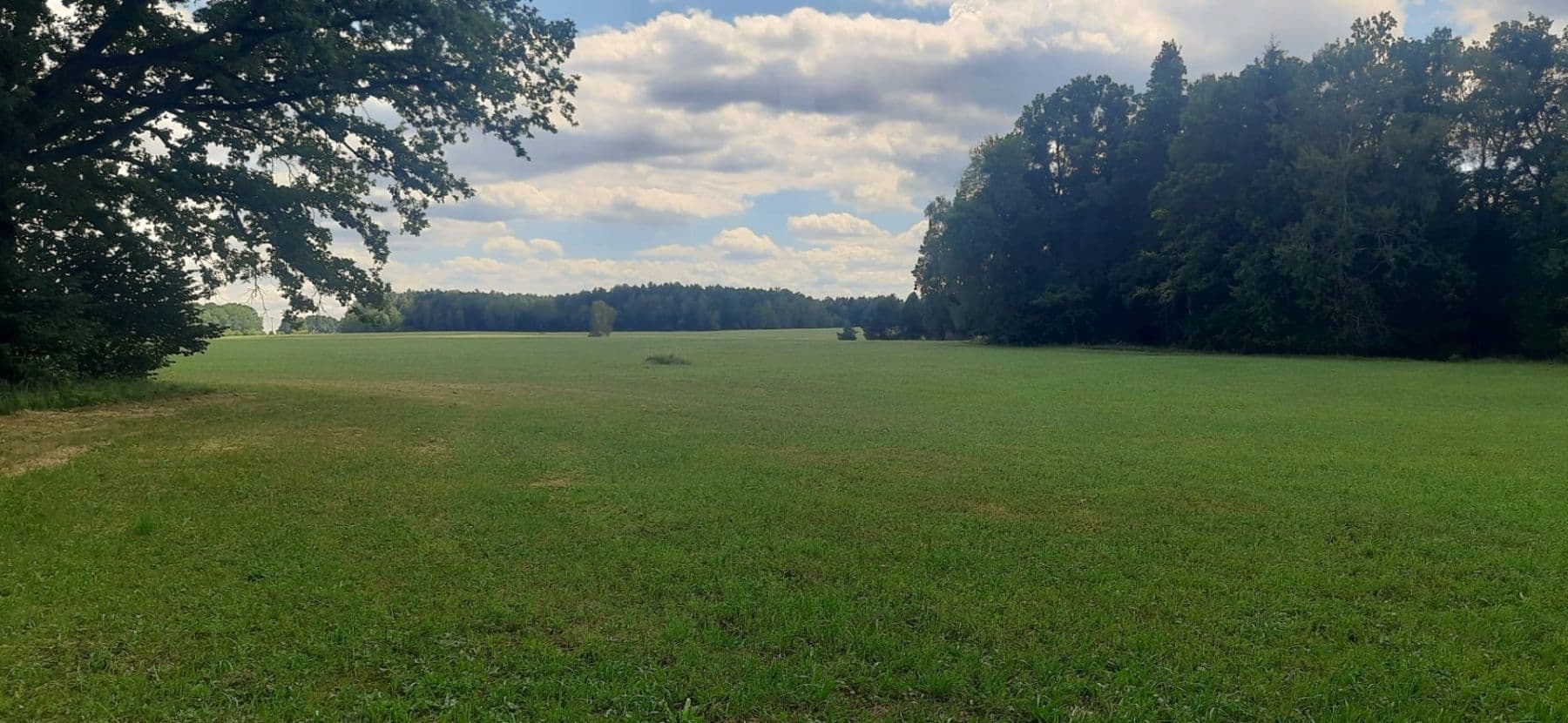Prodej pozemku 2.888 m², Jílovice, Jihočeský kraj Prodej pozemku 2.888 m², Jílovice, Jihočeský kraj