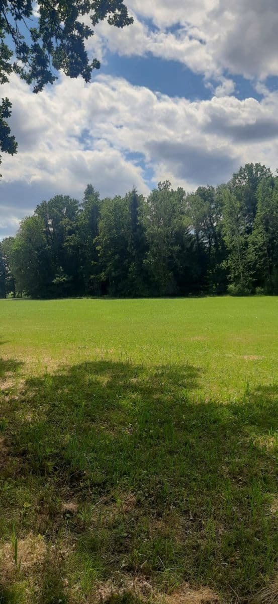 Prodej pozemku 2.888 m², Jílovice, Jihočeský kraj Prodej pozemku 2.888 m², Jílovice, Jihočeský kraj