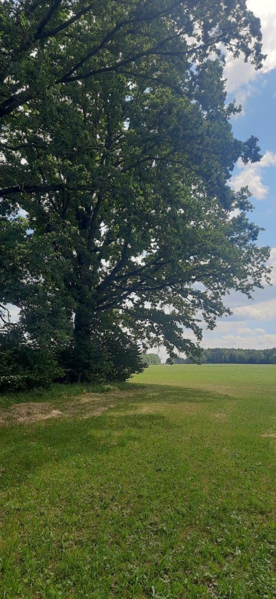 Prodej pozemku 2.888 m², Jílovice, Jihočeský kraj Prodej pozemku 2.888 m², Jílovice, Jihočeský kraj