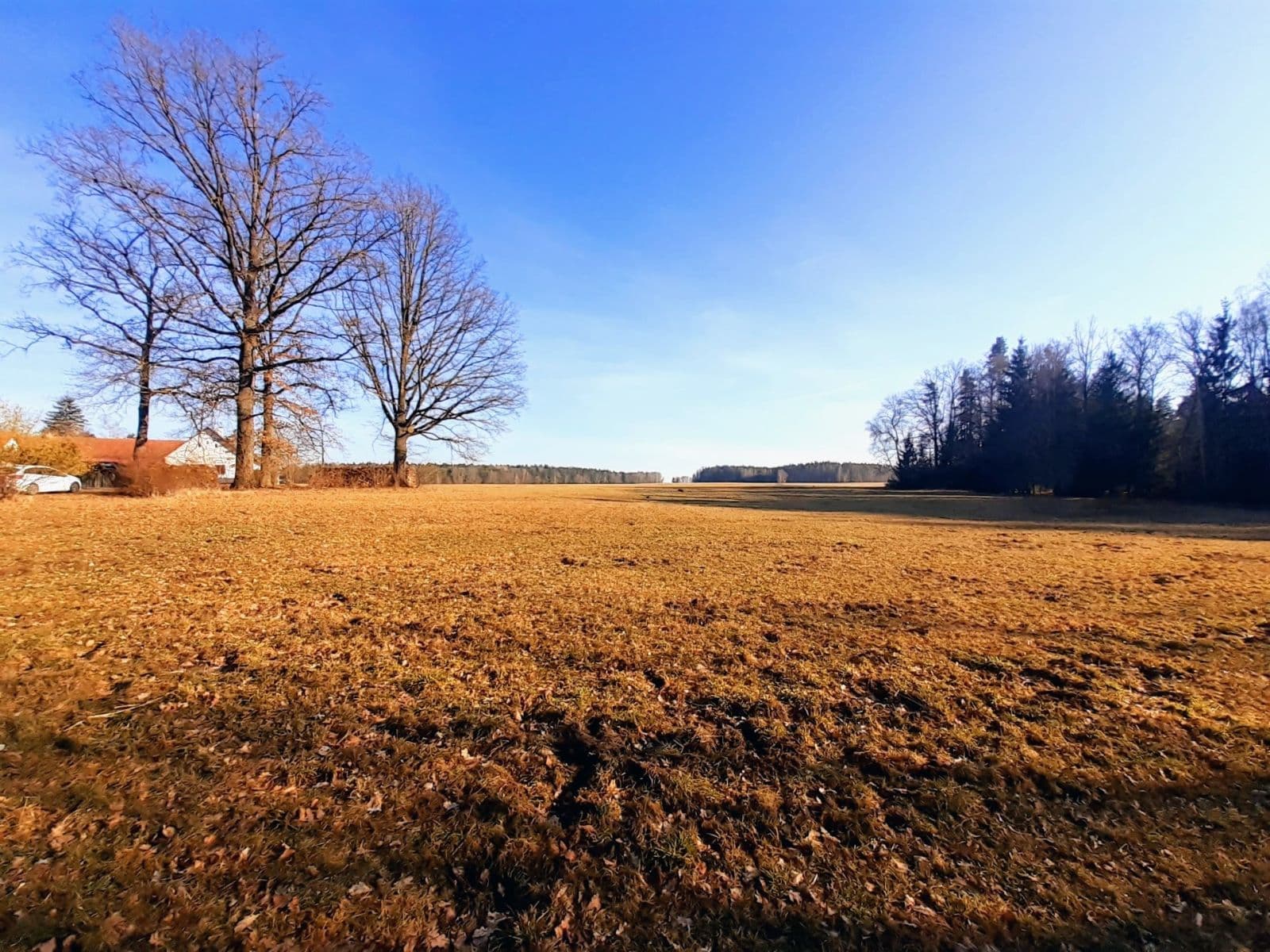 Prodej pozemku 2.888 m², Jílovice, Jihočeský kraj Prodej pozemku 2.888 m², Jílovice, Jihočeský kraj