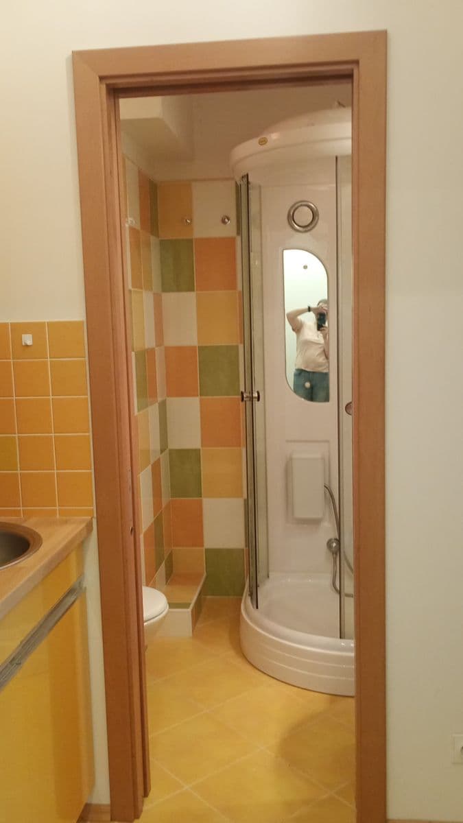 Pronájem bytu 1+kk 27 m², Kubelíkova, Praha, Praha Pronájem bytu 1+kk 27 m², Kubelíkova, Praha, Praha