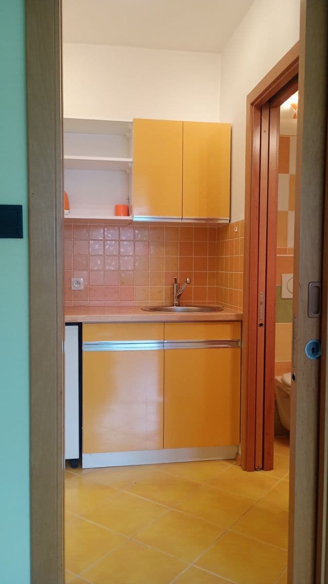 Pronájem bytu 1+kk 27 m², Kubelíkova, Praha, Praha Pronájem bytu 1+kk 27 m², Kubelíkova, Praha, Praha