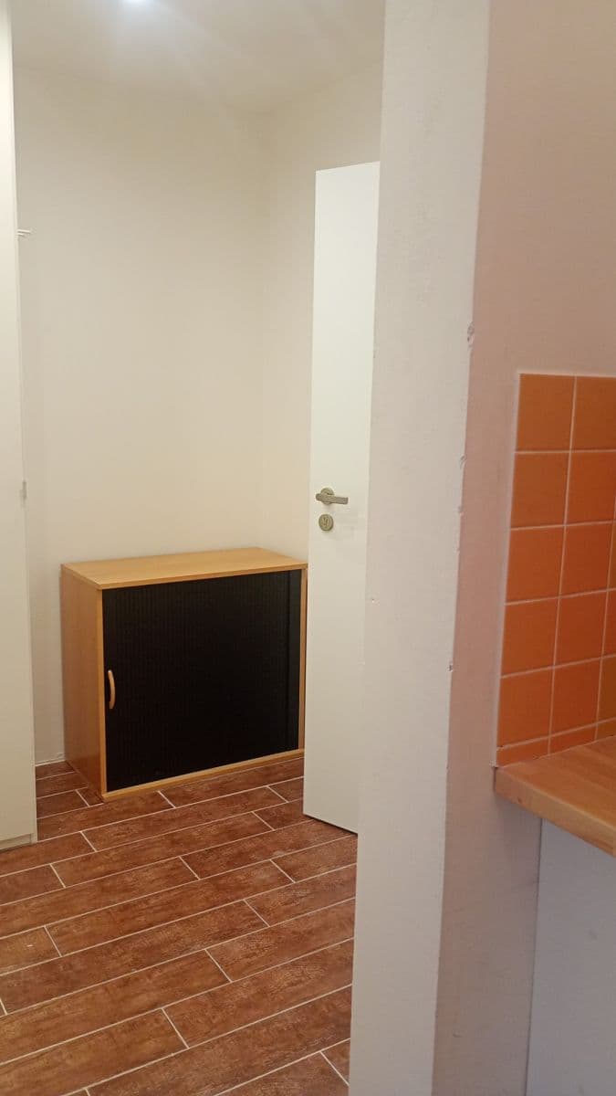 Pronájem bytu 1+kk 27 m², Kubelíkova, Praha, Praha Pronájem bytu 1+kk 27 m², Kubelíkova, Praha, Praha