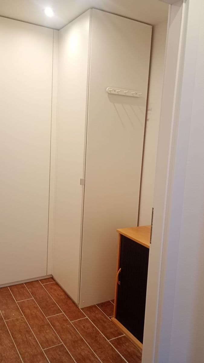 Pronájem bytu 1+kk 27 m², Kubelíkova, Praha, Praha Pronájem bytu 1+kk 27 m², Kubelíkova, Praha, Praha