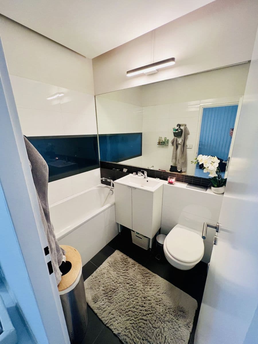 Pronájem bytu 1+kk 51 m², Jánská, Brno, Jihomoravský kraj Pronájem bytu 1+kk 51 m², Jánská, Brno, Jihomoravský kraj