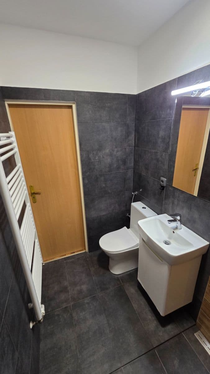 Pronájem bytu 1+kk 30 m², Votroubkova, Brno, Jihomoravský kraj Pronájem bytu 1+kk 30 m², Votroubkova, Brno, Jihomoravský kraj