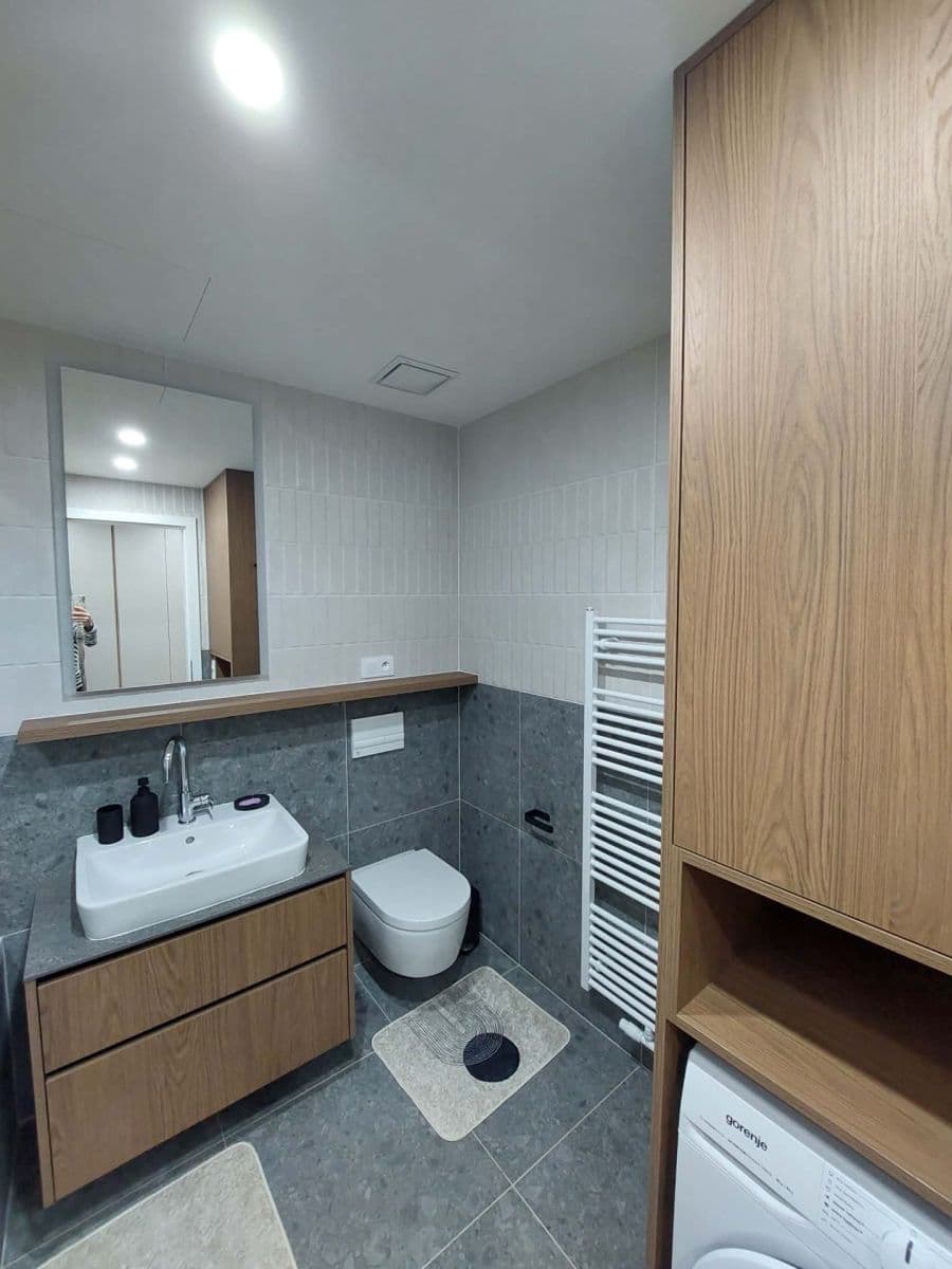Pronájem bytu 1+kk 44 m², Bratislavská, Brno, Jihomoravský kraj Pronájem bytu 1+kk 44 m², Bratislavská, Brno, Jihomoravský kraj