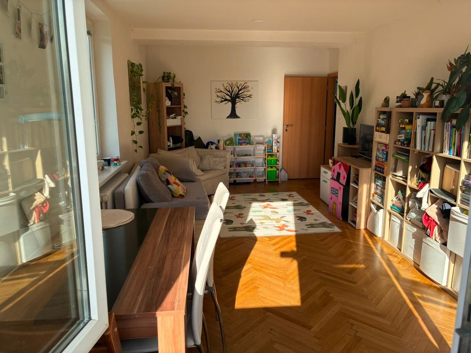 Pronájem bytu 2+1 54 m², Svatopluka Čecha, Brno, Jihomoravský kraj Pronájem bytu 2+1 54 m², Svatopluka Čecha, Brno, Jihomoravský kraj