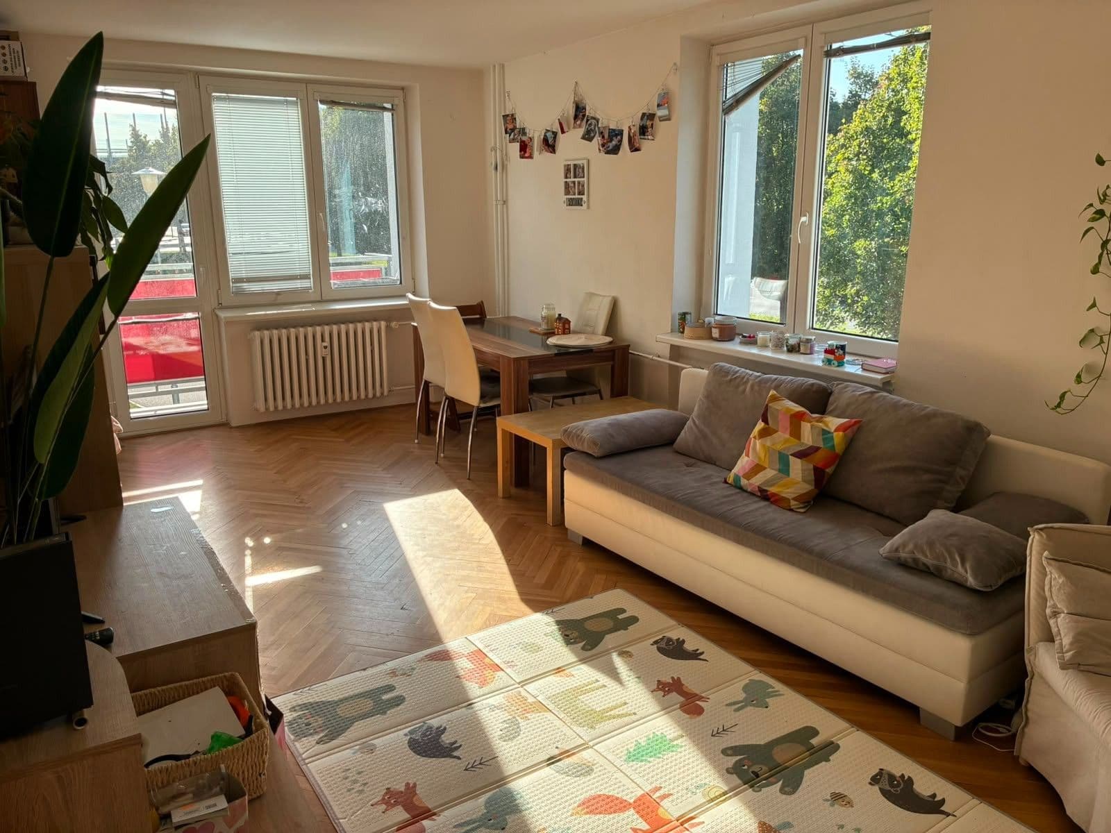 Pronájem bytu 2+1 54 m², Svatopluka Čecha, Brno, Jihomoravský kraj Pronájem bytu 2+1 54 m², Svatopluka Čecha, Brno, Jihomoravský kraj