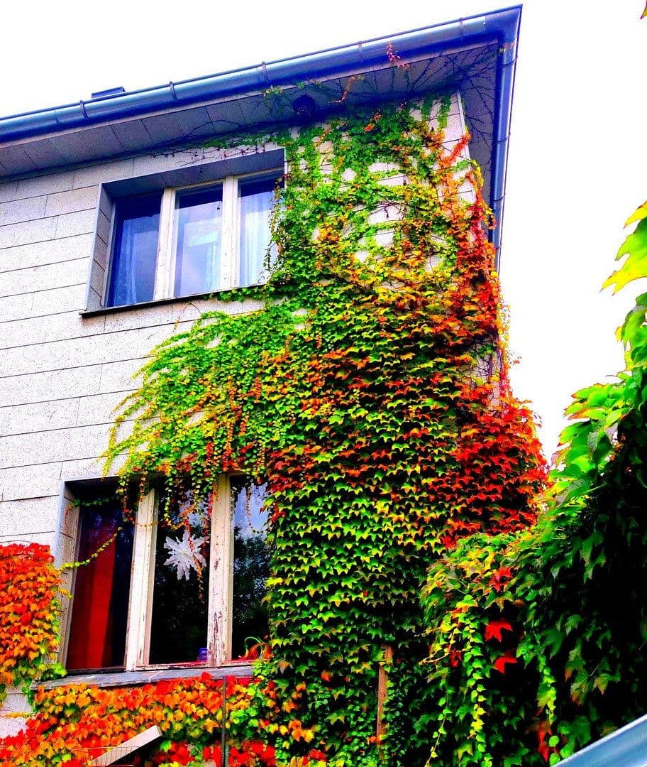 Prodej domu 180 m², pozemek 1.412 m², Berlin Mariendorf, Berlín Prodej domu 180 m², pozemek 1.412 m², Berlin Mariendorf, Berlín