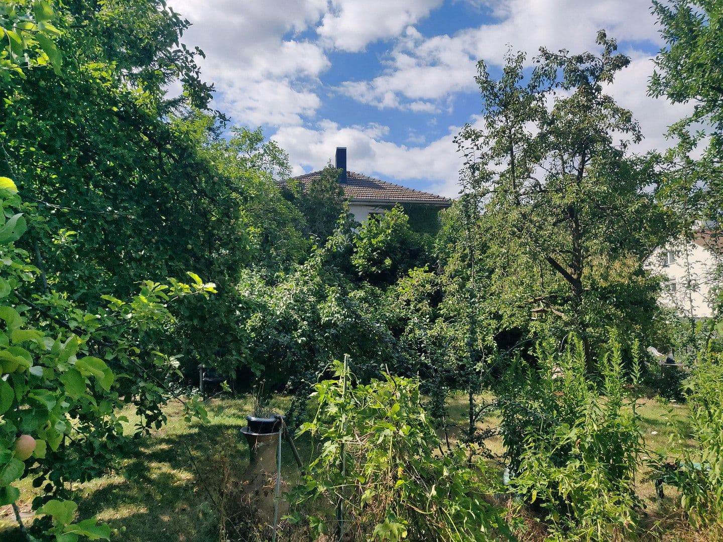 Prodej domu 180 m², pozemek 1.412 m², Berlin Mariendorf, Berlín Prodej domu 180 m², pozemek 1.412 m², Berlin Mariendorf, Berlín