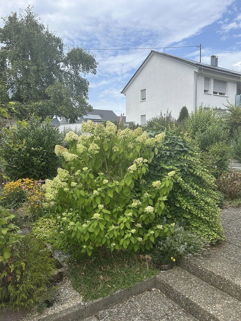 Prodej domu 145 m², pozemek 704 m², Schlat, Bádensko-Württembersko Prodej domu 145 m², pozemek 704 m², Schlat, Bádensko-Württembersko