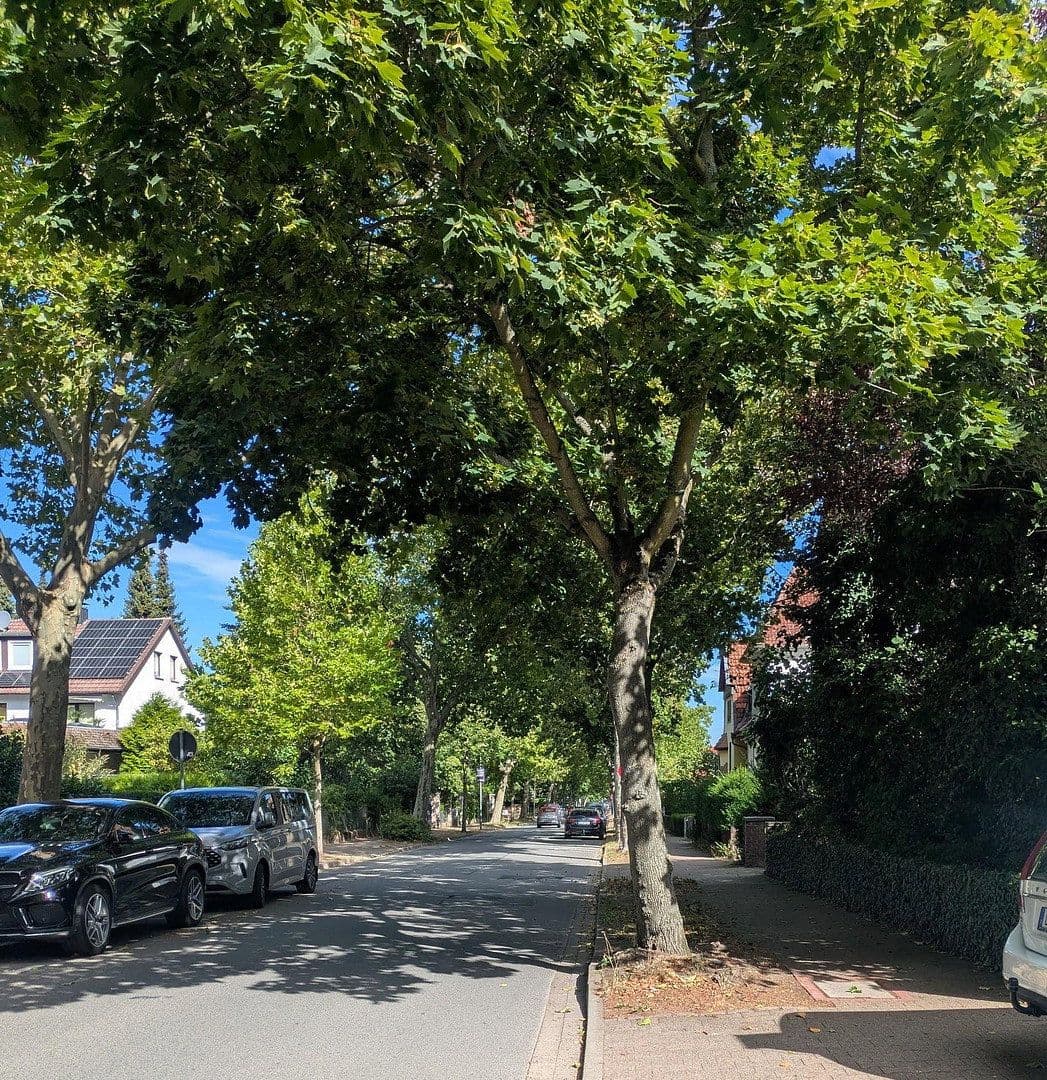Prodej bytu 2+1 40 m², Bismarckstraße 17, Bad Harzburg, Dolní Sasko Prodej bytu 2+1 40 m², Bismarckstraße 17, Bad Harzburg, Dolní Sasko