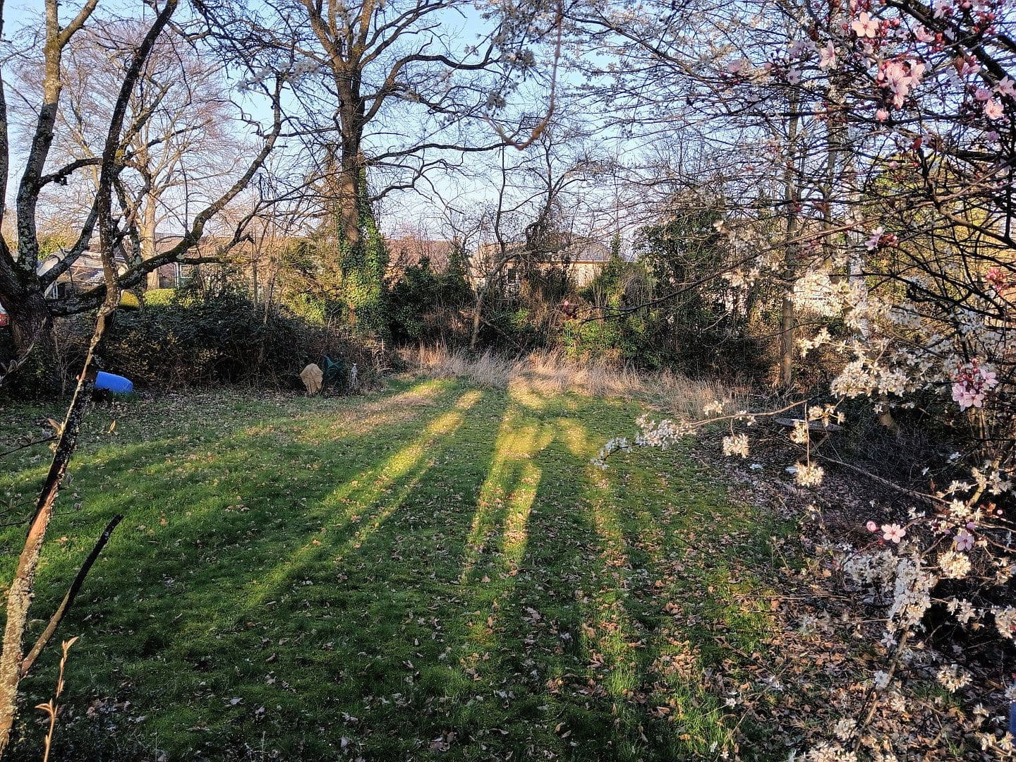 Prodej domu 120 m², pozemek 1.300 m², Bonn, Severní Porýní-Vestfálsko Prodej domu 120 m², pozemek 1.300 m², Bonn, Severní Porýní-Vestfálsko