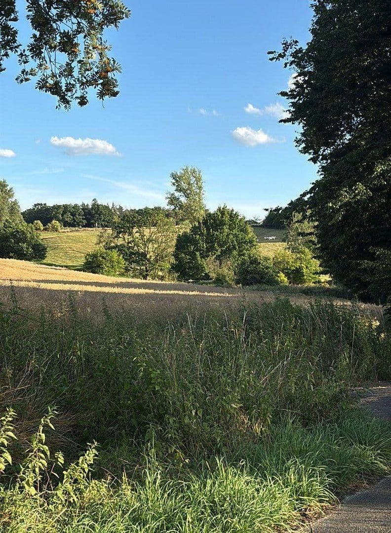 Prodej domu 156 m², pozemek 1.245 m², Wassenberg, Severní Porýní-Vestfálsko Prodej domu 156 m², pozemek 1.245 m², Wassenberg, Severní Porýní-Vestfálsko