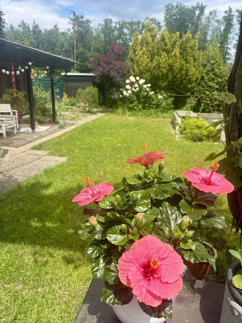 Prodej domu 228 m², pozemek 1.055 m², Wörth am Rhein, Porýní-Falc Prodej domu 228 m², pozemek 1.055 m², Wörth am Rhein, Porýní-Falc