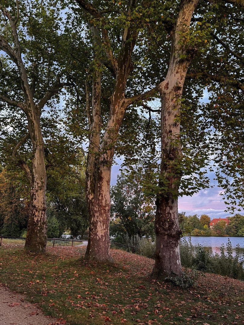 Prodej bytu 2+1 76 m², Am Neuen Garten 9a, Potsdam, Braniborsko Prodej bytu 2+1 76 m², Am Neuen Garten 9a, Potsdam, Braniborsko