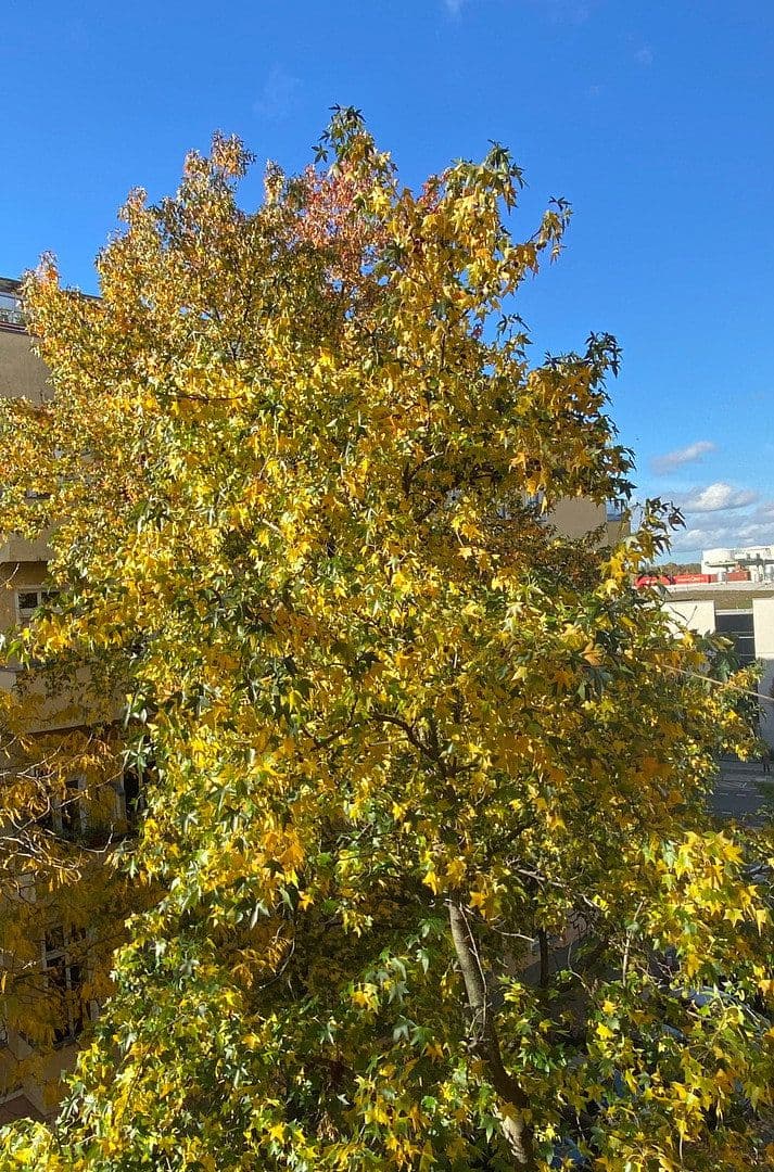 Pronájem bytu 3+kk 118 m², Berlin, Berlín Pronájem bytu 3+kk 118 m², Berlin, Berlín
