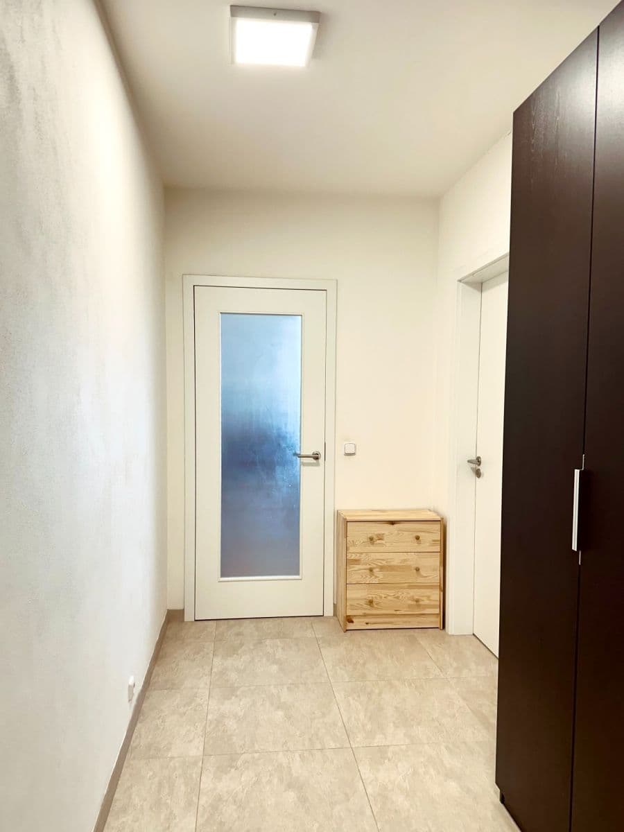 Pronájem bytu 1+kk 51 m², Davídkova, Praha, Praha Pronájem bytu 1+kk 51 m², Davídkova, Praha, Praha