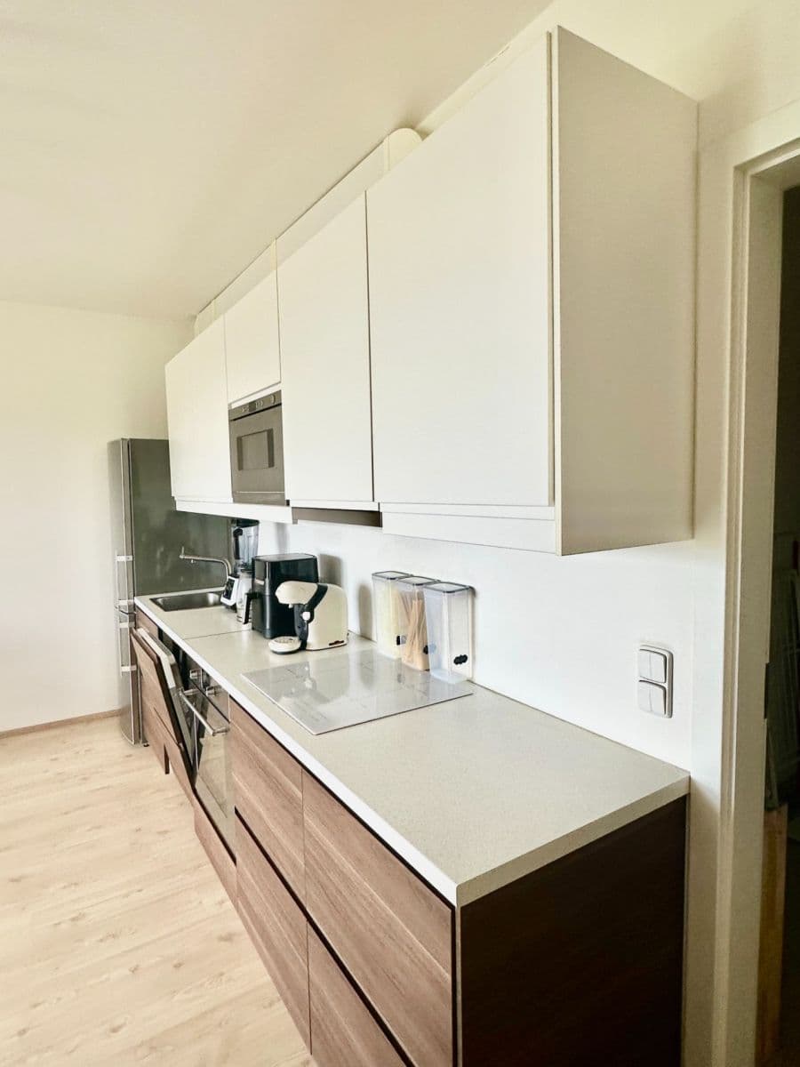 Pronájem bytu 1+kk 51 m², Davídkova, Praha, Praha Pronájem bytu 1+kk 51 m², Davídkova, Praha, Praha