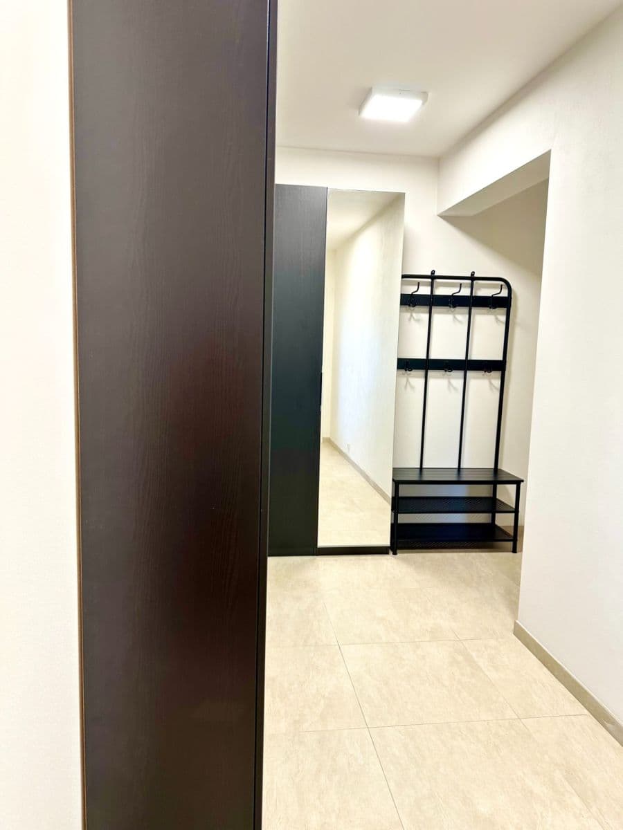 Pronájem bytu 1+kk 51 m², Davídkova, Praha, Praha Pronájem bytu 1+kk 51 m², Davídkova, Praha, Praha