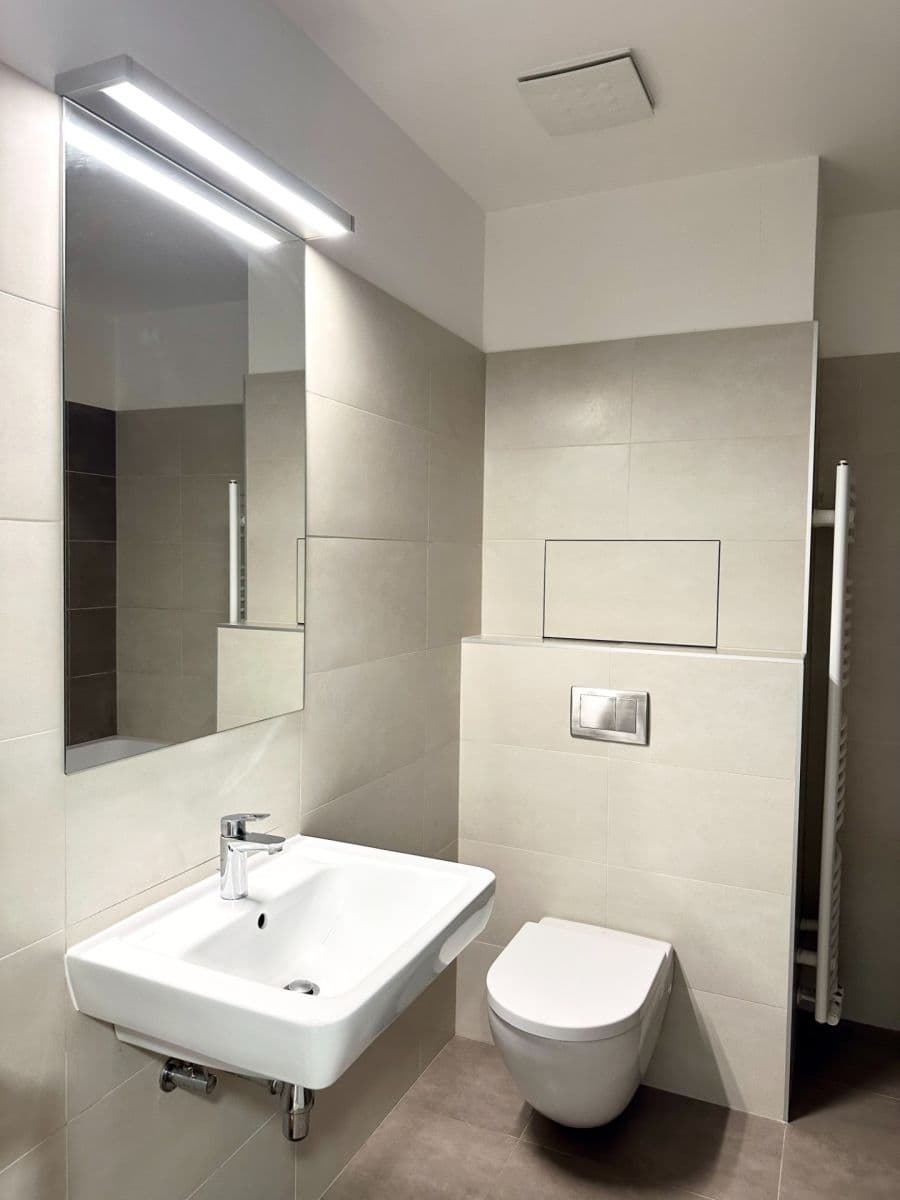 Pronájem bytu 1+kk 51 m², Davídkova, Praha, Praha Pronájem bytu 1+kk 51 m², Davídkova, Praha, Praha