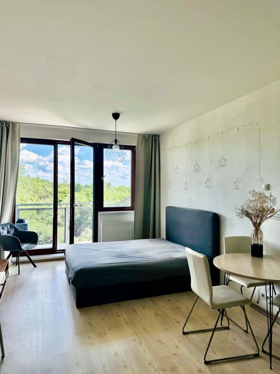 Pronájem bytu 1+kk 51 m², Davídkova, Praha, Praha Pronájem bytu 1+kk 51 m², Davídkova, Praha, Praha