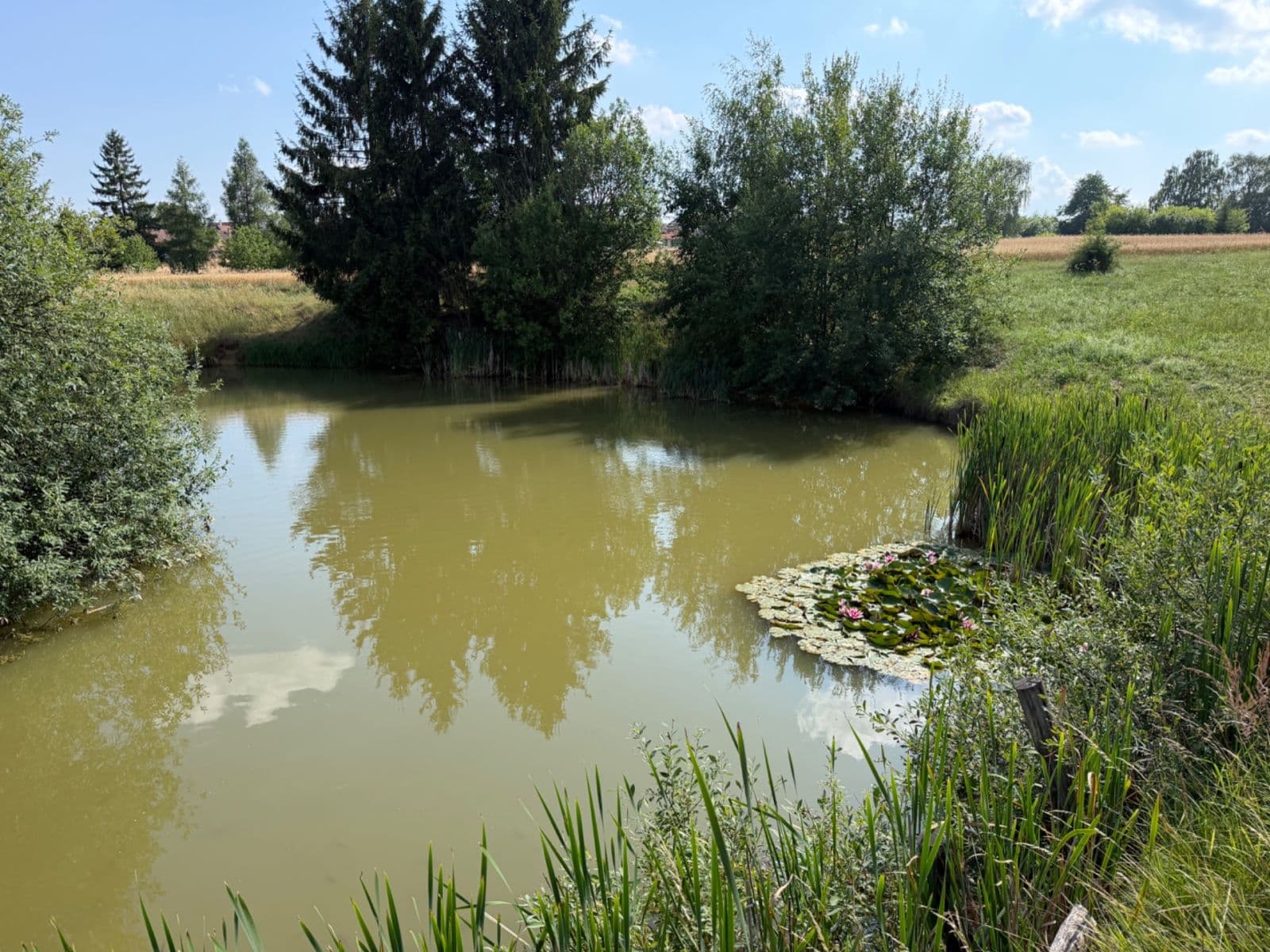 Prodej pozemku 1.767 m², Rudice, Jihomoravský kraj Prodej pozemku 1.767 m², Rudice, Jihomoravský kraj