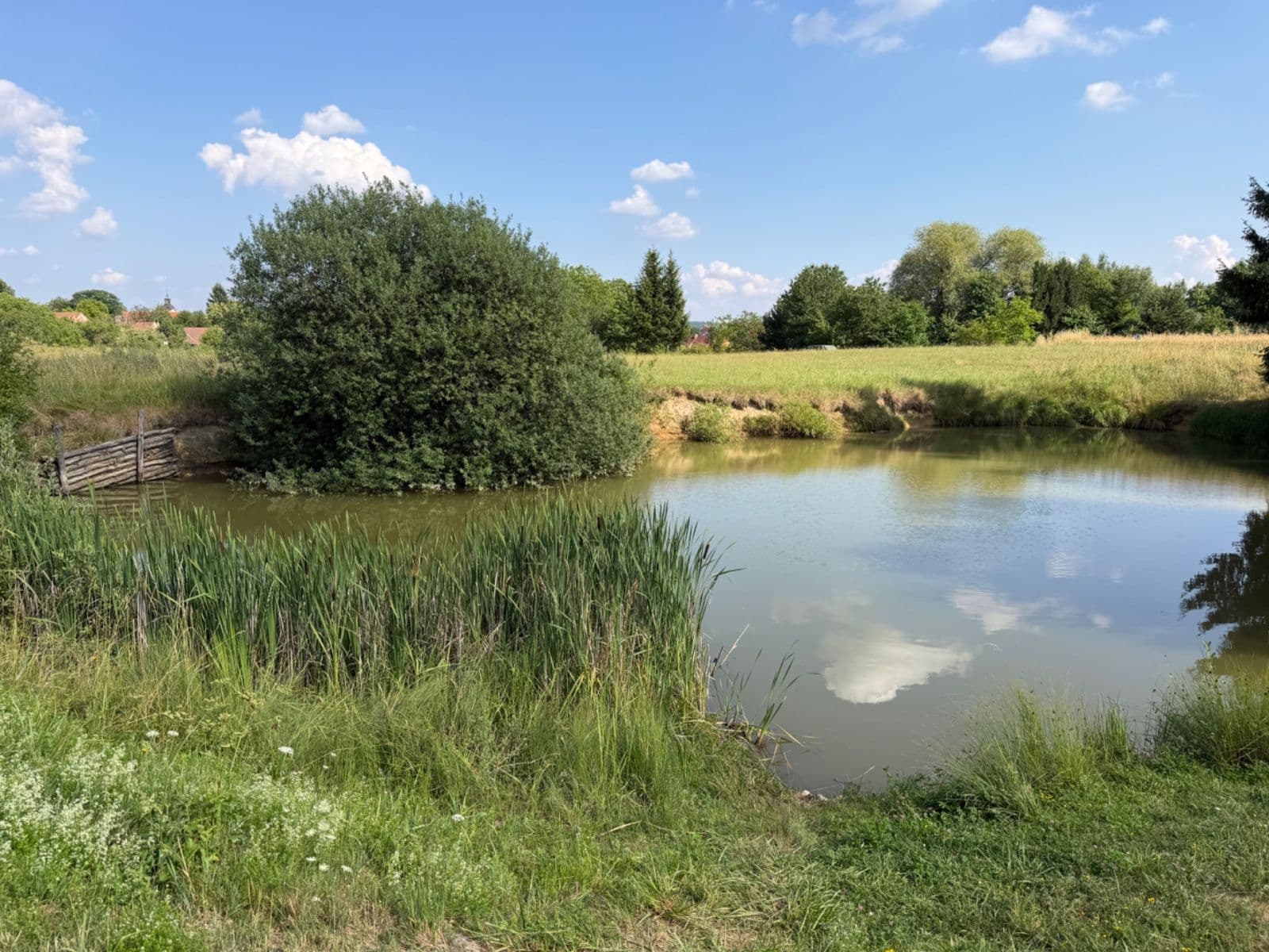 Prodej pozemku 1.767 m², Rudice, Jihomoravský kraj Prodej pozemku 1.767 m², Rudice, Jihomoravský kraj