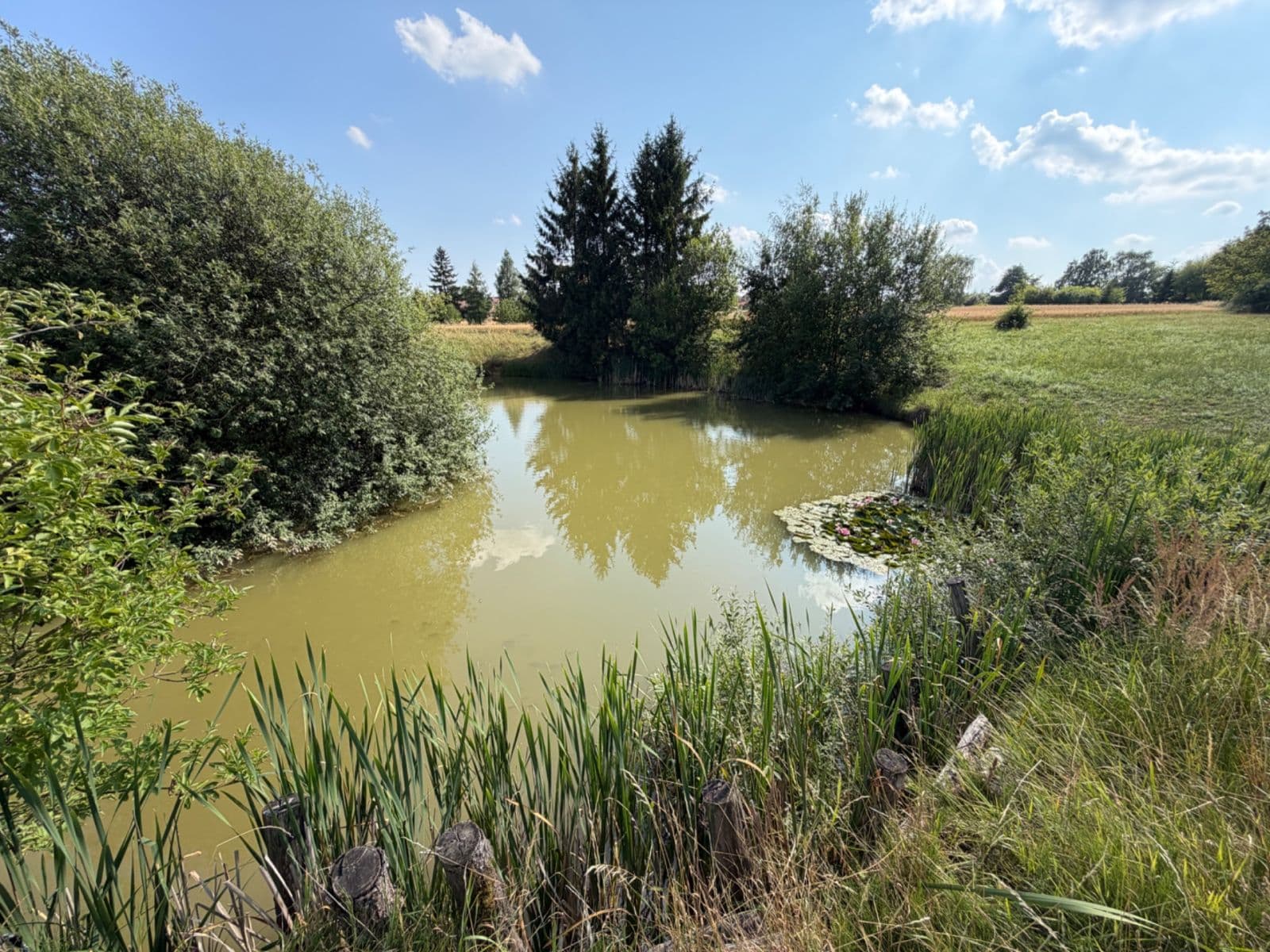 Prodej pozemku 1.767 m², Rudice, Jihomoravský kraj Prodej pozemku 1.767 m², Rudice, Jihomoravský kraj