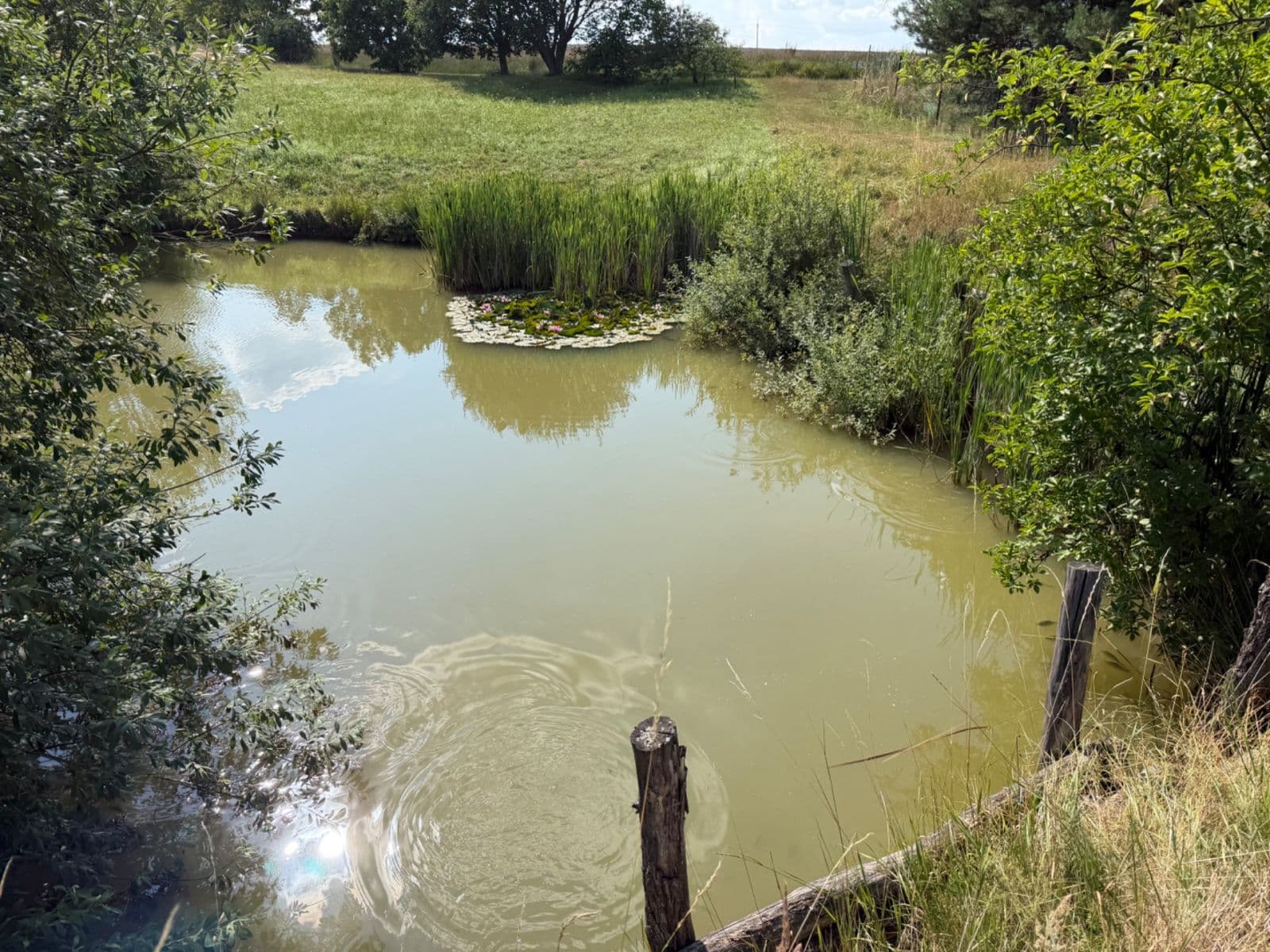 Prodej pozemku 1.767 m², Rudice, Jihomoravský kraj Prodej pozemku 1.767 m², Rudice, Jihomoravský kraj