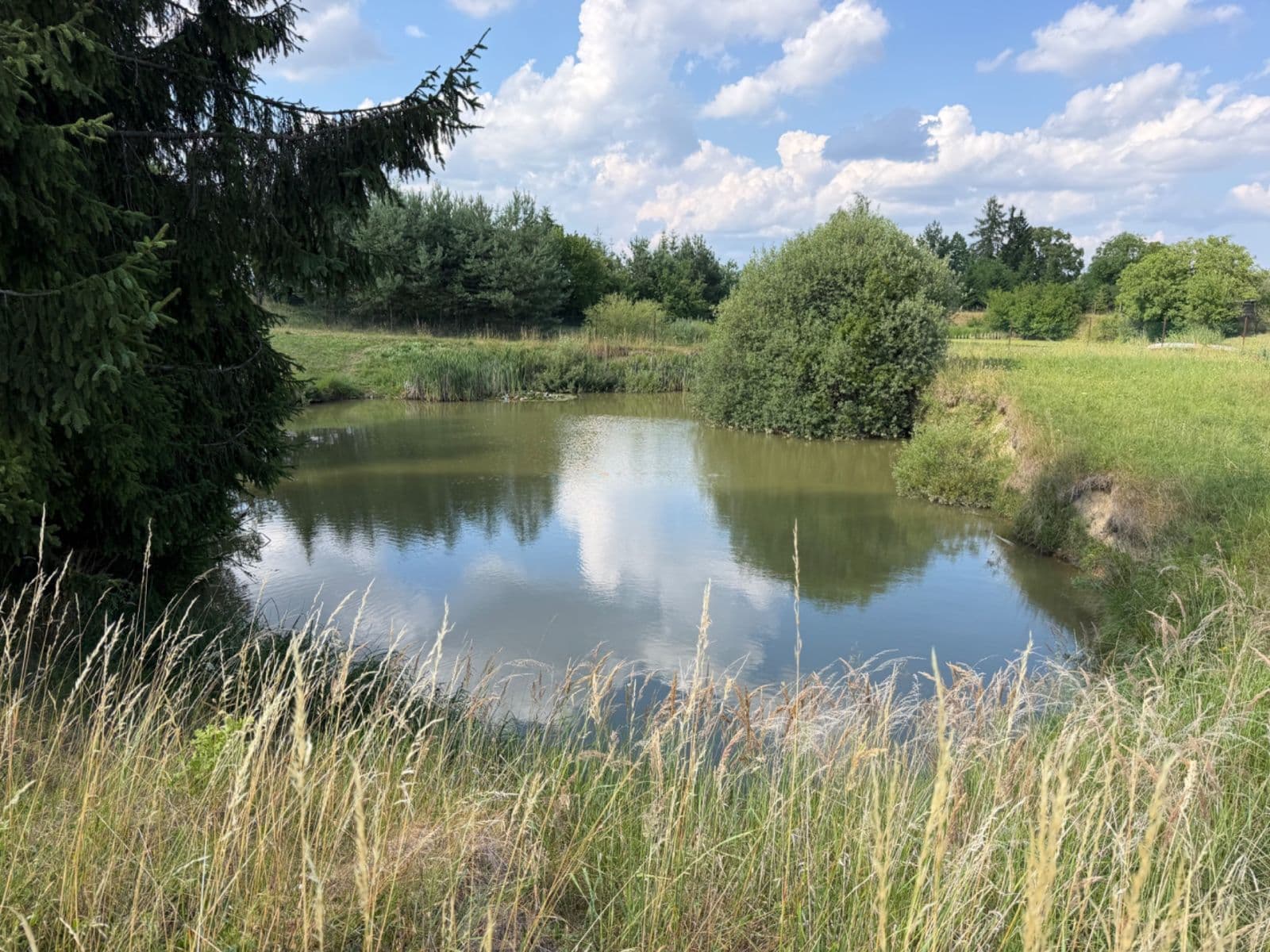 Prodej pozemku 1.767 m², Rudice, Jihomoravský kraj Prodej pozemku 1.767 m², Rudice, Jihomoravský kraj