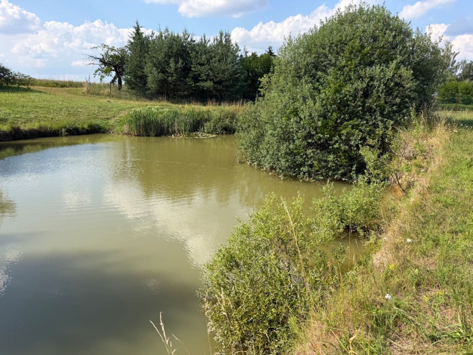 Prodej pozemku 1.767 m², Rudice, Jihomoravský kraj Prodej pozemku 1.767 m², Rudice, Jihomoravský kraj