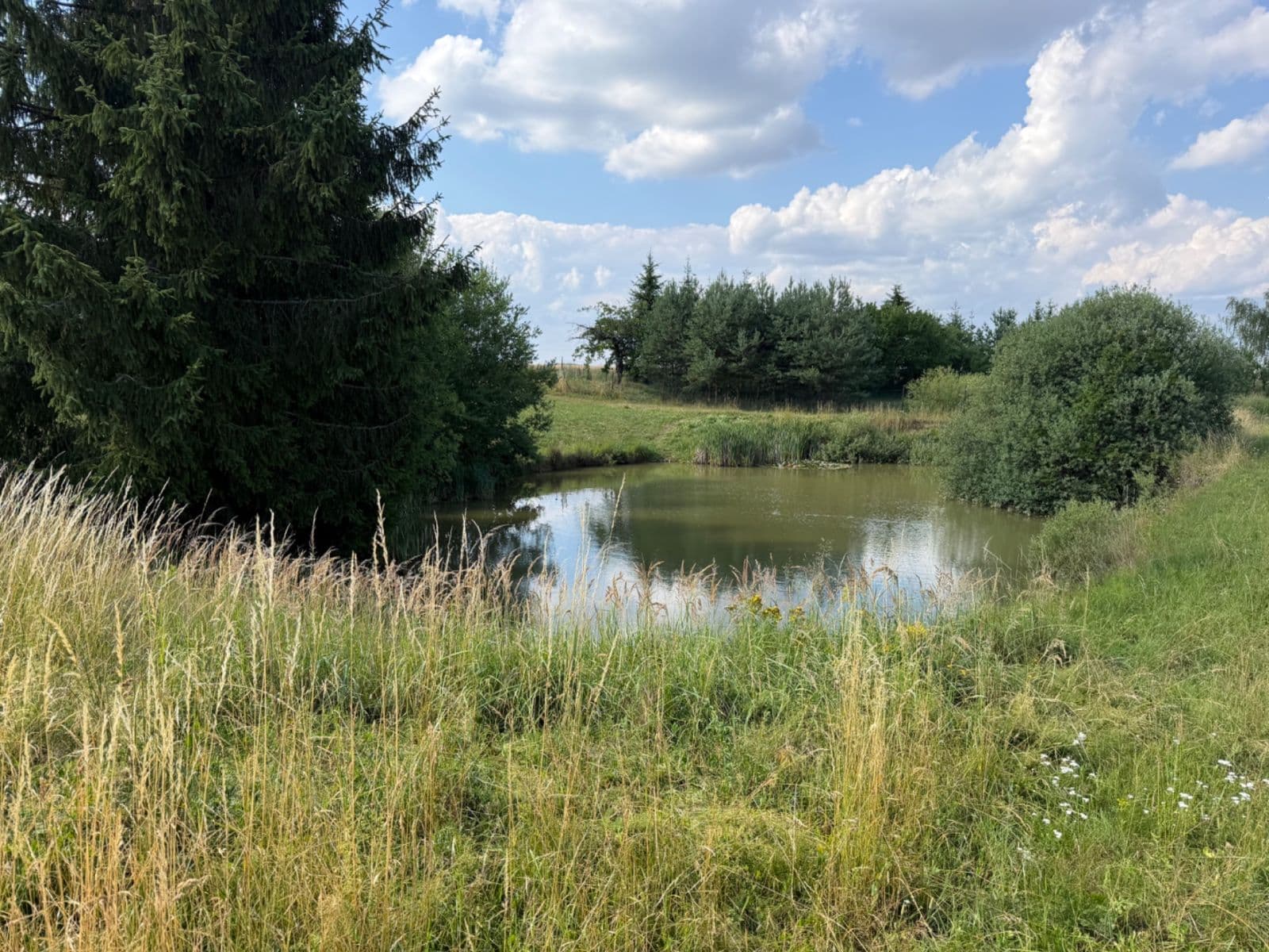 Prodej pozemku 1.767 m², Rudice, Jihomoravský kraj Prodej pozemku 1.767 m², Rudice, Jihomoravský kraj