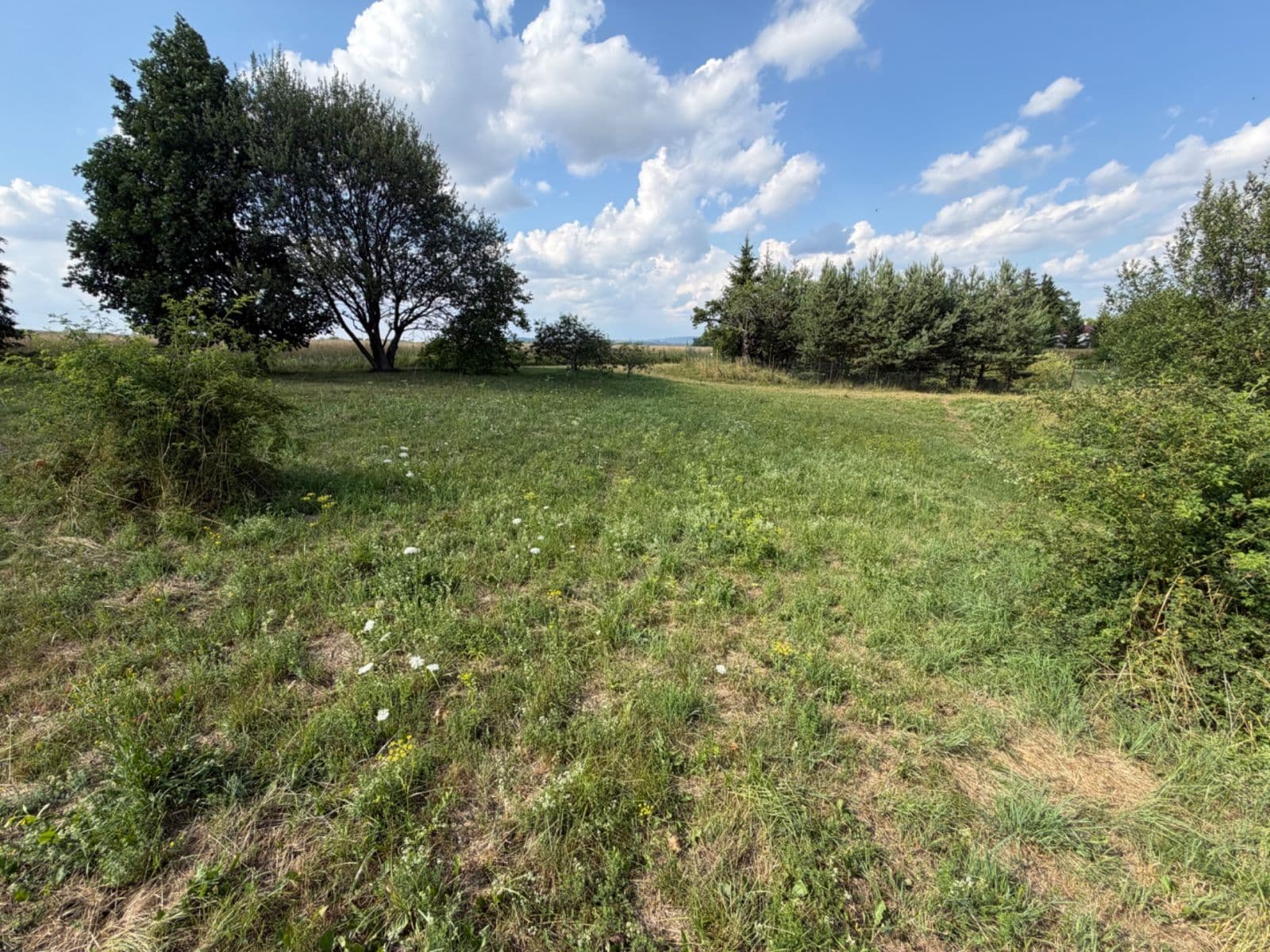 Prodej pozemku 1.767 m², Rudice, Jihomoravský kraj Prodej pozemku 1.767 m², Rudice, Jihomoravský kraj