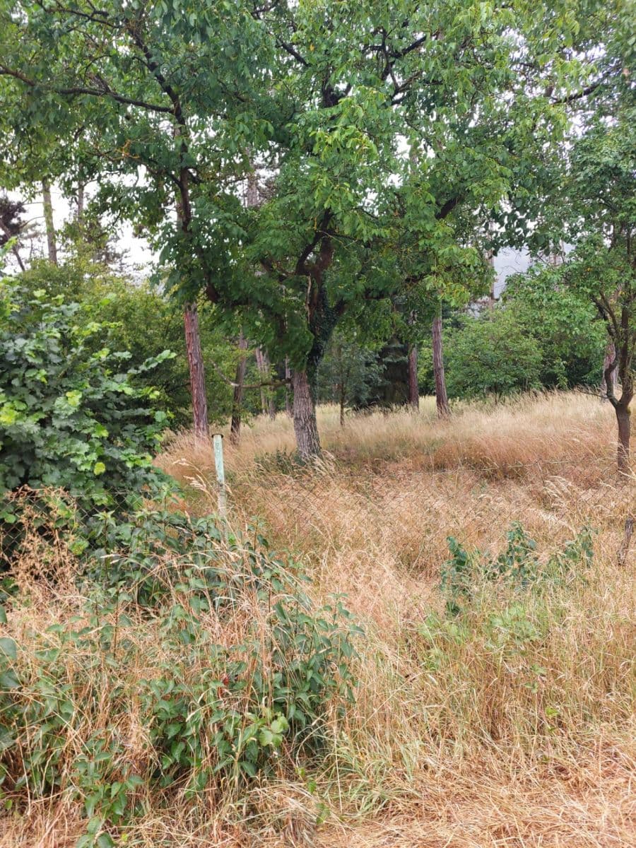 Prodej pozemku 2.498 m², Hradištko, Středočeský kraj Prodej pozemku 2.498 m², Hradištko, Středočeský kraj