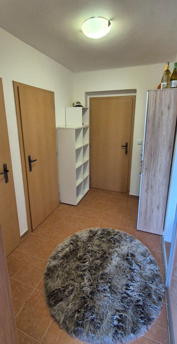 Prodej bytu 1+1 45 m², Slapy, Středočeský kraj Prodej bytu 1+1 45 m², Slapy, Středočeský kraj