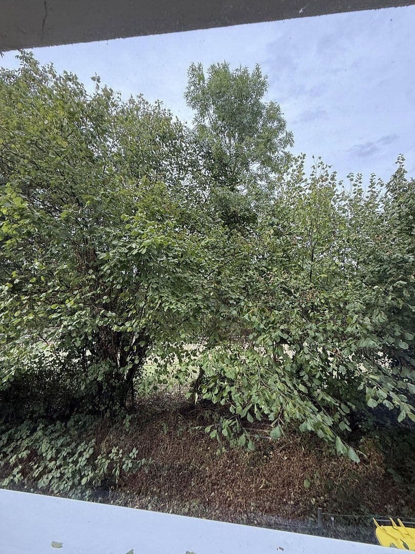 Pronájem bytu 4+1 91 m², Freiberg am Neckar, Bádensko-Württembersko Pronájem bytu 4+1 91 m², Freiberg am Neckar, Bádensko-Württembersko